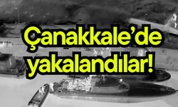 Çanakkale’de yakalandılar! (Video)