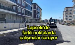 Lapseki'de farklı noktalarda çalışmalar sürüyor