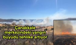 Çanakkale merkezindeki yangın büyüdü tehlike artıyor (Video)