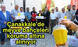 Çanakkale’de meyve bahçeleri koruma altına alınıyor