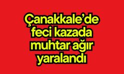 Çanakkale’de feci kazada muhtar ağır yaralandı