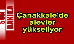 Çanakkale'de alevler yükseliyor