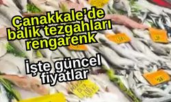 Çanakkale’de balık tezgahları rengarenk: İşte güncel fiyatlar