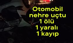 Otomobil nehre uçtu: 1 ölü, 1 yaralı, 1 kayıp (Video)