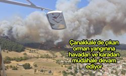 Çanakkale'de çıkan orman yangınına havadan ve karadan müdahale devam ediyor