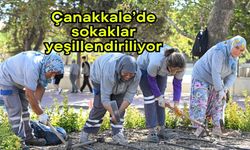 Çanakkale’de sokaklar yeşillendiriliyor