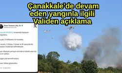 Çanakkale’de devam eden yangınla ilgili Validen açıklama