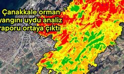 Çanakkale orman yangını uydu analiz raporu ortaya çıktı