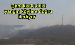 Çanakkale’deki yangın köylere doğru ilerliyor (Video)