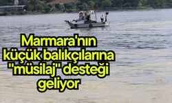 Marmara'nın küçük balıkçılarına "müsilaj" desteği geliyor (Video)