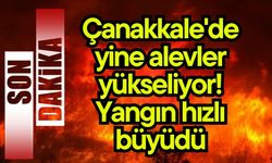 Çanakkale'de yine alevler yükseliyor! Yangın hızlı büyüdü