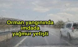 Orman yangınında imdada yağmur yetişti