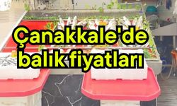 Çanakkale'de balık fiyatları