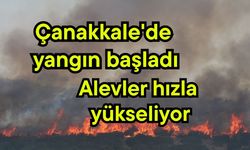 Çanakkale'de yangın başladı, alevler hızla yükseliyor