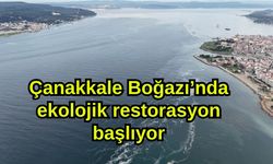 Çanakkale Boğazı’nda ekolojik restorasyon başlıyor