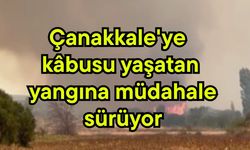Çanakkale'ye kâbusu yaşatan yangına müdahale sürüyor (Video)