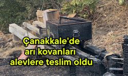 Çanakkale'de arı kovanları alevlere teslim oldu (Video)
