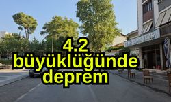 4.2 büyüklüğünde deprem (Video)