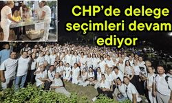 CHP’de delege seçimleri devam ediyor