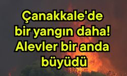 Çanakkale'de bir yangın daha! Alevler bir anda büyüdü