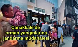 Çanakkale'de orman yangınlarına jandarma müdahalesi