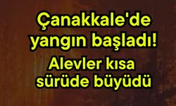 Çanakkale'de yangın başladı! Alevler kısa sürüde büyüdü
