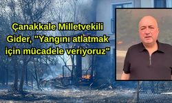Çanakkale Milletvekili Gider, "Yangını atlatmak için mücadele veriyoruz"