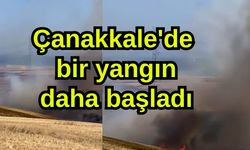 Çanakkale'de bir yangın daha başladı