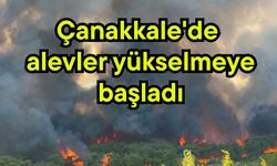 Çanakkale'de alevler yükselmeye başladı