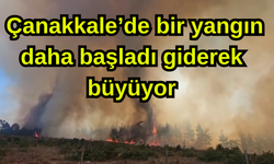 Çanakkale’de bir yangın daha başladı giderek büyüyor (Video)