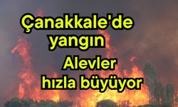 Çanakkale'de yangın, alevler hızla büyüyor
