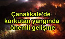 Çanakkale'de korkutan yangında önemli gelişme (Video)
