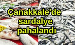 Çanakkale'de sardalye pahalandı