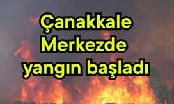 Çanakkale Merkezde yangın başladı