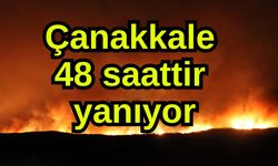 Çanakkale 48 saattir yanıyor