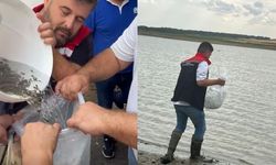 200 bin yavru sazan bırakıldı