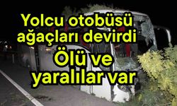 Yolcu otobüsü ağaçları devirdi, ölü ve yaralılar var