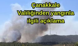 Çanakkale Valiliğinden yangınla ilgili açıklama
