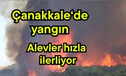 Çanakkale'de yangın, alevler hızla ilerliyor