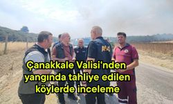 Çanakkale Valisi'nden yangında tahliye edilen köylerde inceleme