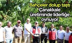 Bahçeler dolup taştı, Çanakkale üretiminde liderliğe oynuyor (Video)