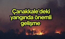 Çanakkale'deki yangında önemli gelişme