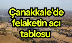 Çanakkale'de felaketin acı tablosu (Video)