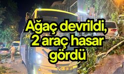 Ağaç devrildi, 2 araç hasar gördü (Video)