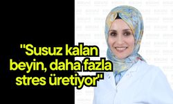 "Susuz kalan beyin, daha fazla stres üretiyor"