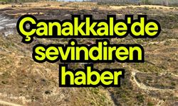 Çanakkale'de sevindiren haber (Video)