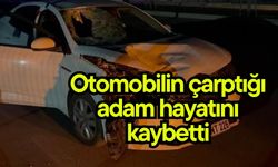 Otomobilin çarptığı adam hayatını kaybetti (Video)