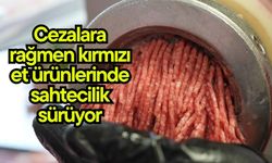Cezalara rağmen kırmızı et ürünlerinde sahtecilik sürüyor