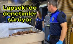Lapseki’de denetimler sürüyor