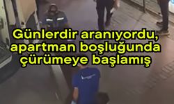 Günlerdir aranıyordu, apartman boşluğunda çürümeye başlamış